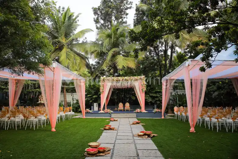 Outdoor lawn party with lighting and open-air setup