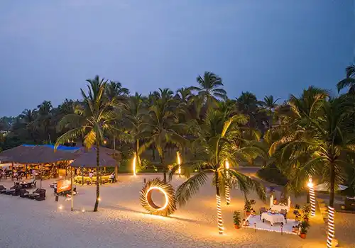 Eco friendly beach venue with palm groves and natural outdoor decor
