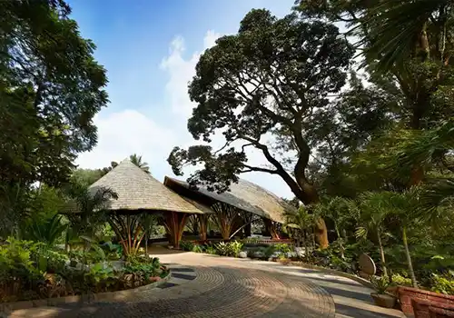 Forest retreat venue with coffee plantation backdrop and open air mandap